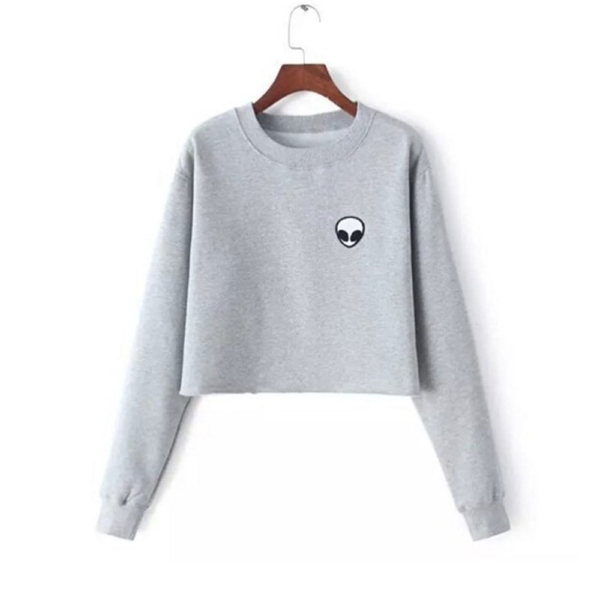 Crop Top Hoodie